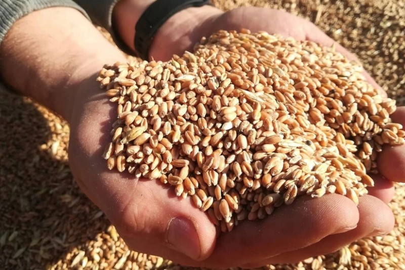 Rusiya: Ermənistan Ukrayna taxılının xeyrinə bizim məhsuldan imtina etmək istəyir