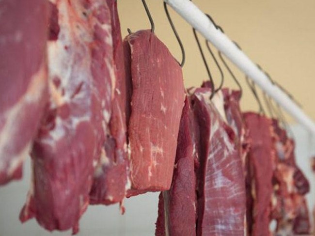 Dana əti basdırmasında at DNT-si aşkarlandı