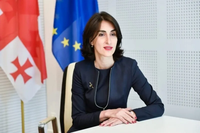 "Vaşinqton sazişini alqışlayırıq" - Gürcüstan XİN