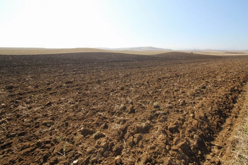 Azərbaycanda növbəti torpaq hərracları elan edilib