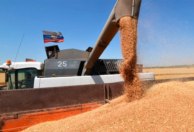 Taxıl diplomatiyası: Ermənistan Rusiyanın “qırmızı xətti”ni keçəcək?