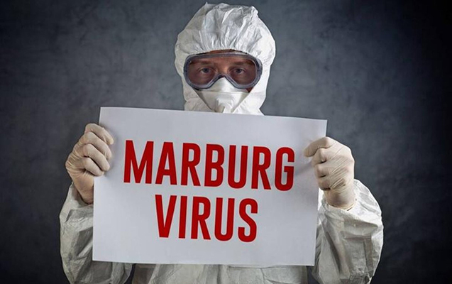 Bu ölkədə yeni virus YAYILIR