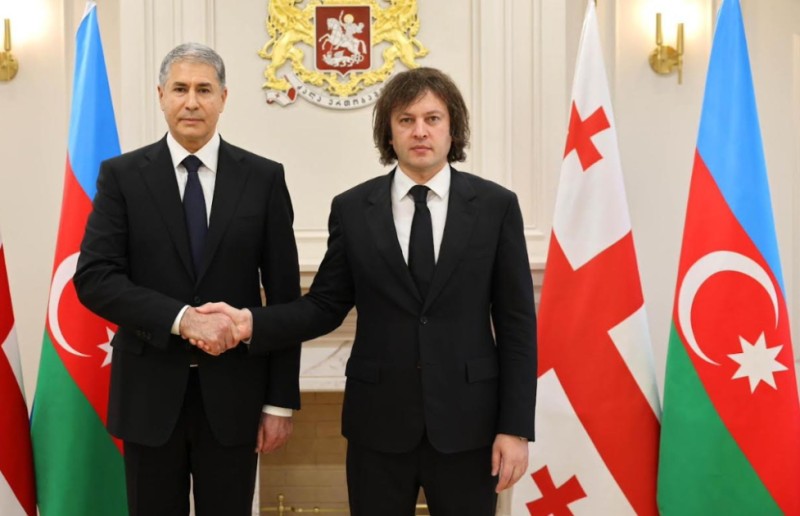 Gürcüstanın Baş naziri Azərbaycanın daxili işlər naziri ilə görüşüb - FOTO