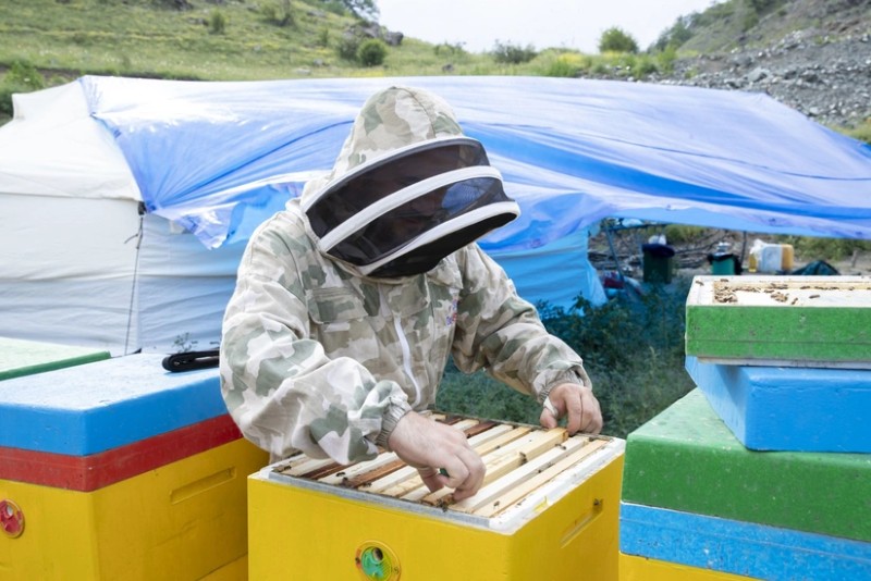 Azad olunan ərazilərə köçürülənlərdən neçəsinin məşğulluğu təmin edilib?