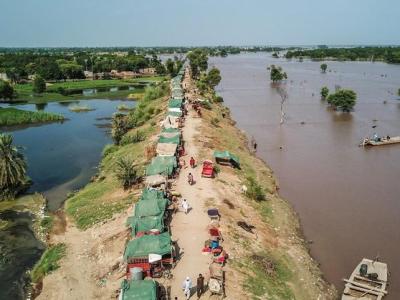 BMT: Təbii fəlakətlər qlobal kənd təsərrüfata 99 milyard dollar zərər verib