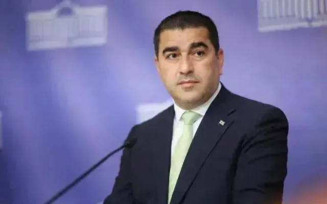 "Orta Dəhliz yeni imkanlar yaradacaq" - Papuaşvili