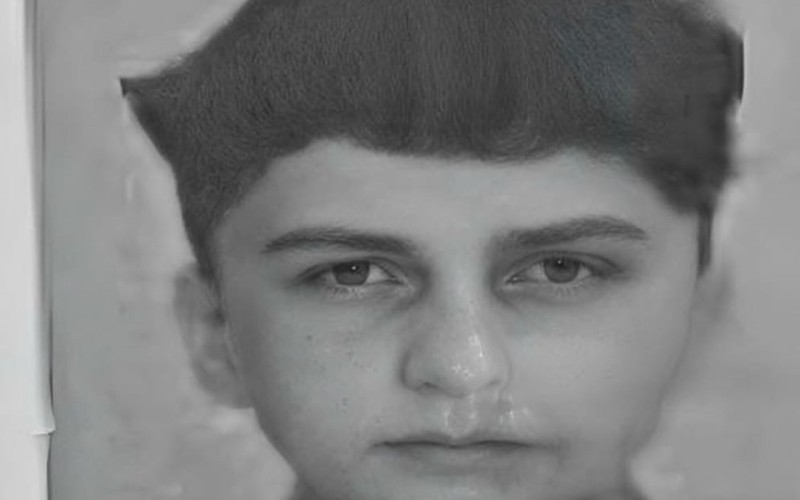 Mingəçevirdə 17 yaşlı şagirdin qətli ilə bağlı yeni detallar məlum oldu