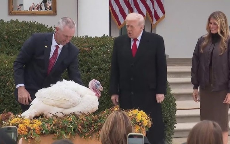 Tramp hind toyuğunu əfv etdi - VİDEO