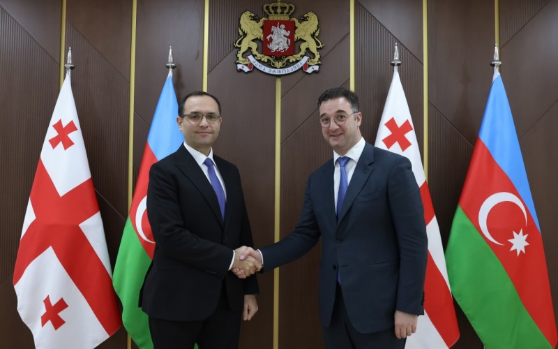 Məcnun Məmmədov gürcü həmkarı ilə görüşdü - FOTOLAR