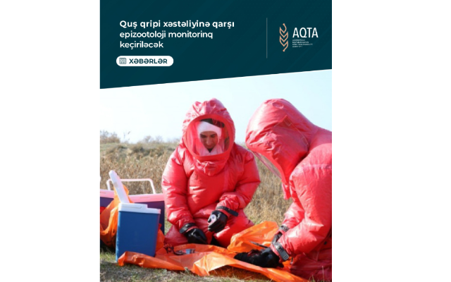Quş qripi xəstəliyinə qarşı monitorinq keçiriləcək - VİDEO