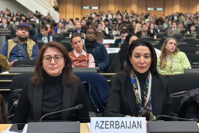 Ombudsman BMT-də mina problemindən danışıb - FOTO