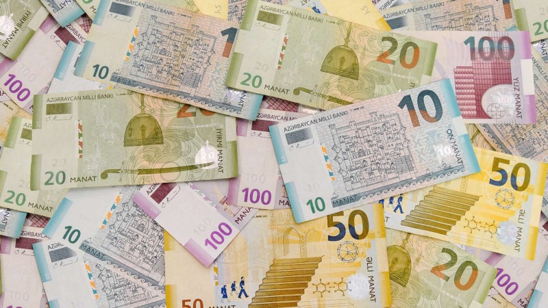 16 manat sığorta ödənişi bütün işsizlərə aid olacaq? - Deputat açıqladı