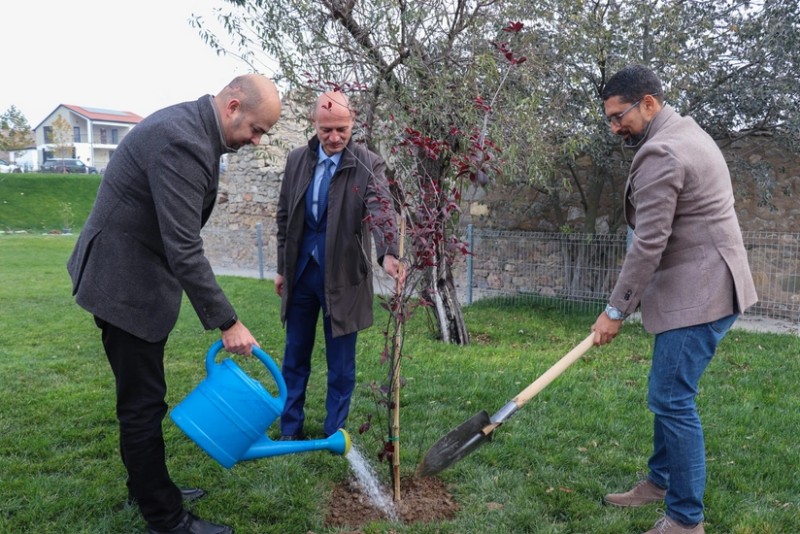QDF-in dəstəyi ilə Horovlu kəndində 1 000-dən çox ağac əkilib - FOTO