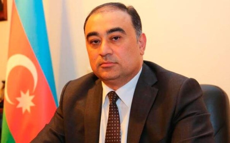 Türksoylu statusu yalnız başqa ölkələrdə yaşayan milli azlıqlara verilir - Səfir