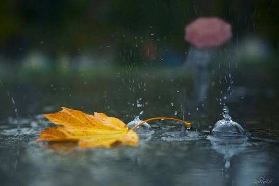 Hava şəraiti ilə bağlı XƏBƏRDARLIQ