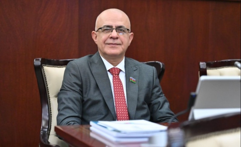 Elçin Mirzəbəyli: Azərbaycandan kənara çıxan rəqəmsal gəlirlər vergiyə cəlb olunmalıdır