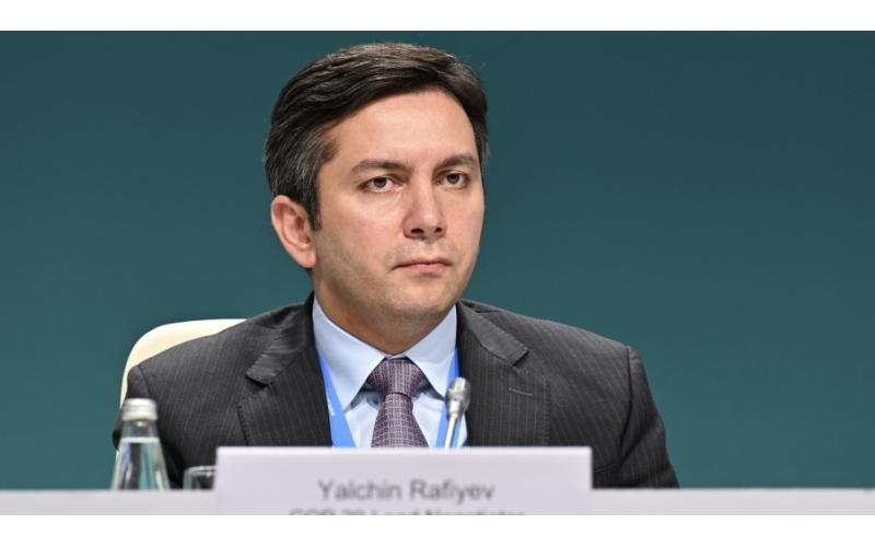 Türkiyə Azərbaycandan COP29 təcrübəsini öyrənəcək 