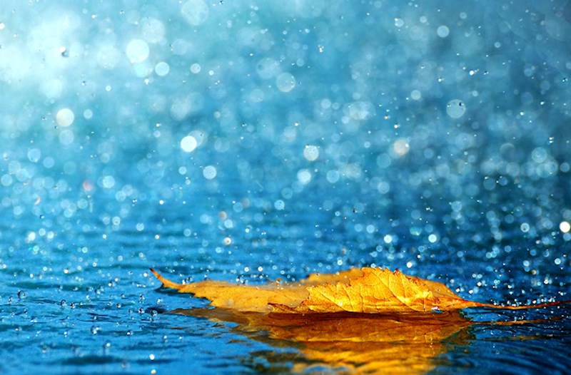 Sabah yağış yağacaq - PROQNOZ