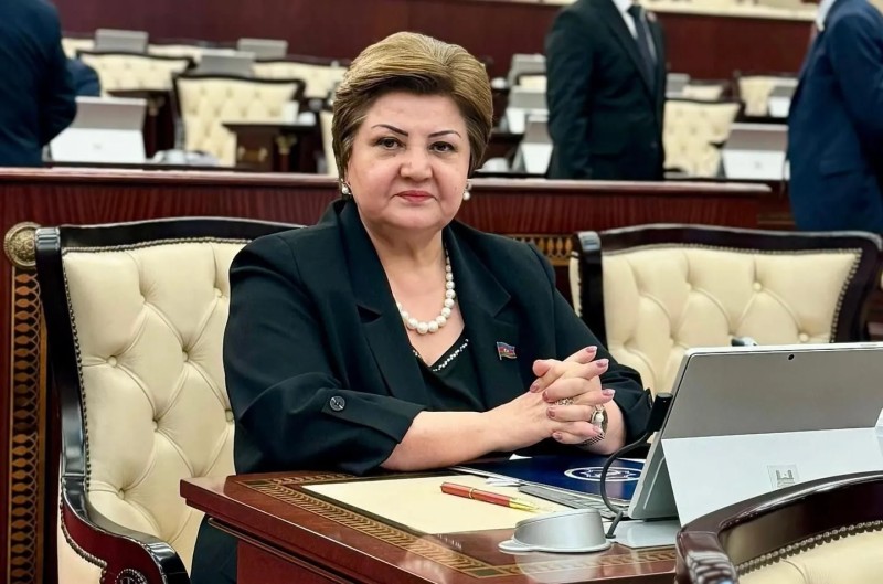 Tənzilə Rüstəmxanlı: “Bəzi məktəblərdə pəncərələr naylon örtüklə əvəz edilib”