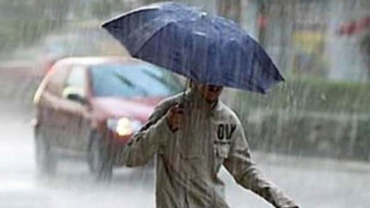 Leysan olacaq - PROQNOZ