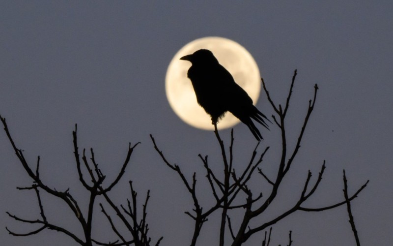 Bu gecə sonuncu dəfə Super Ay hadisəsi yaşanacaq