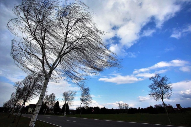 Sabahın havası küləkli olacaq - PROQNOZ