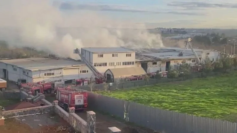 Türkiyədə karton fabrikində YANĞIN