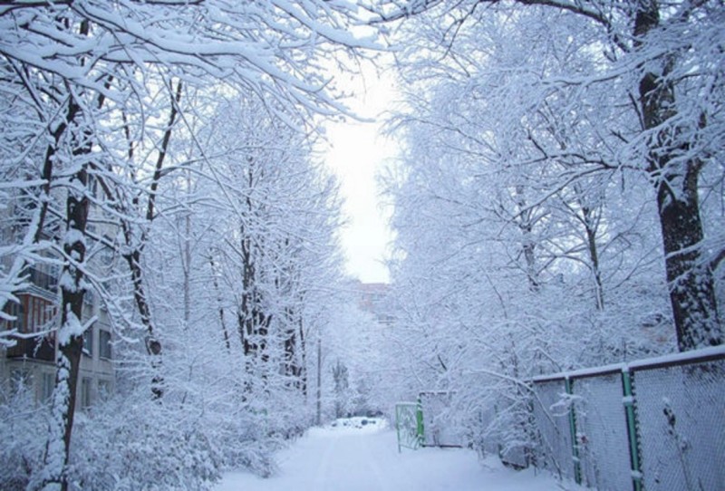 Dağlıq ərazilərə qar yağır - FAKTİKİ HAVA