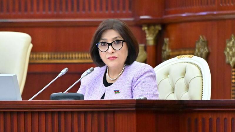 Sahibə Qafarova: Qanunvericilik təşəbbüslərinə elmi əsas verilməlidir