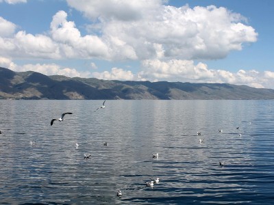 Göyçə gölünün səviyyəsi aşağı düşüb