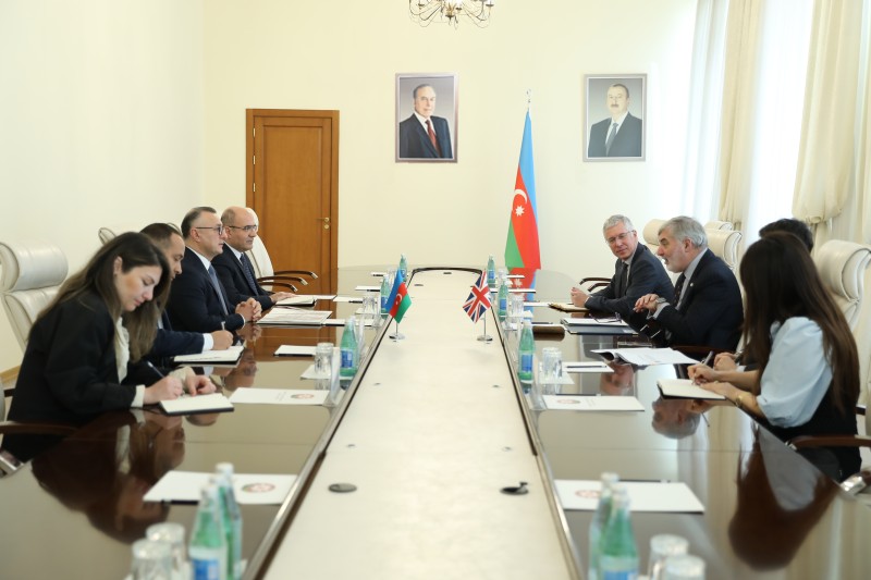Britaniyanın nümayəndə heyəti Azərbaycanın Səhiyyə Nazirliyində oldu