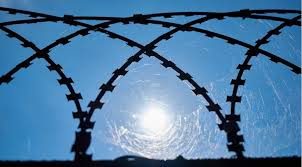 Amnistiya kimlərə şamil olunacaq?