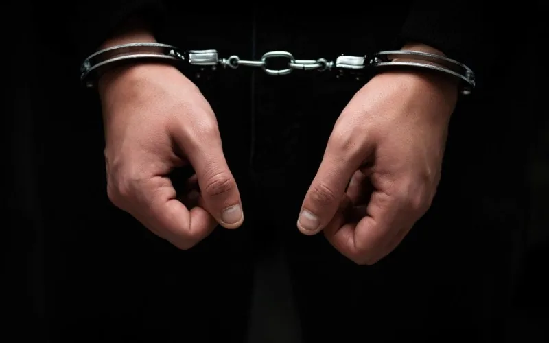 Gürcüstan polisi "oğru dünyası" ilə əlaqəli 49 nəfəri saxladı