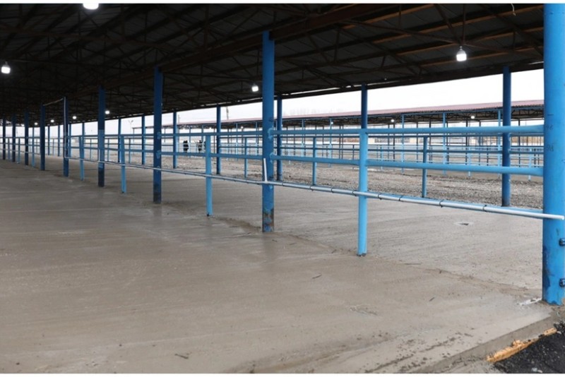 Bərdə heyvan bazarı fəaliyyətini bərpa etdi - FOTO