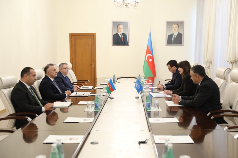 Səhiyyə Nazirliyində BMT-nin Azərbaycandakı rezident əlaqələndiricisi ilə görüş keçirilib