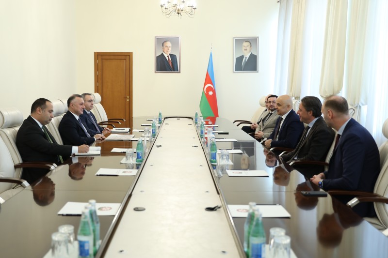 Səhiyyə Nazirliyində tibb mütəxəssisləri ilə görüş keçirildi - FOTO