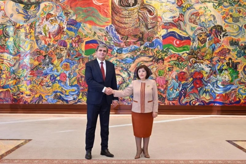 Sahibə Qafarova Monteneqro XİN rəhbəri ilə görüşdü
