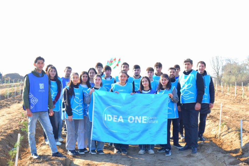 IDEA Bərdə və Beyləqanda kütləvi ağacəkmə aksiyaları təşkil edib - FOTO