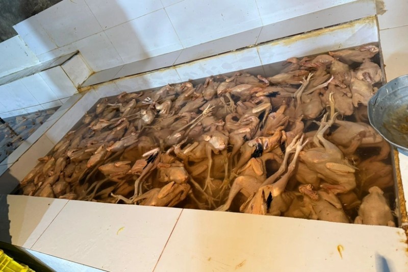 Xırdalanda qanunsuz iş görən sexin fəaliyyəti məhdudlaşdırıldı - FOTOLAR