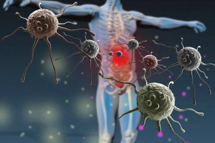 Respirator viruslar ilboyu aktivdir, soyuq aylarda isə...