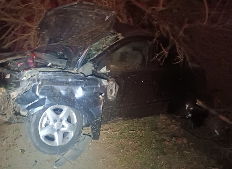 “Opel” ağaca çırpılıb arxa düşdü - Sürücünün vəziyyəti ağırdır