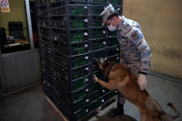 Astara Gömrük İdarəsində 148 kiloqram narkotik aşkarlandı - FOTO