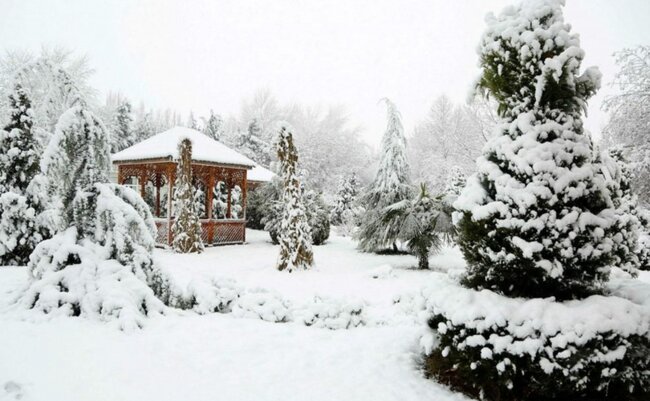 Ordubadın yüksək dağlıq ərazilərində qarın hündürlüyü 25 sm-ə çatıb