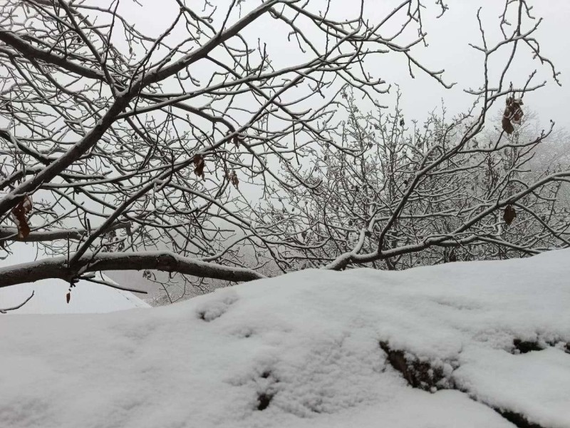 Naxçıvanın dağlıq ərazilərində qarın hündürlüyü 29 sm-ə çatıb
