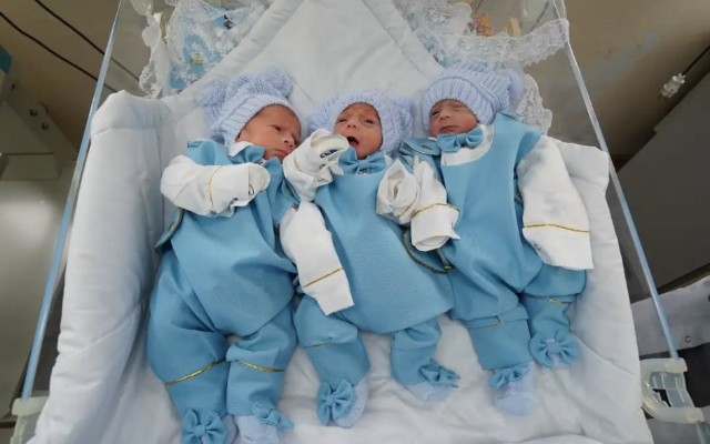 Xaçmazda üçəm dünyaya gəldi - FOTOLAR