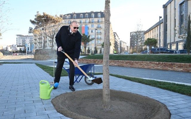 Prezident bu parkda ilk palıd ağacını əkdi - VİDEO