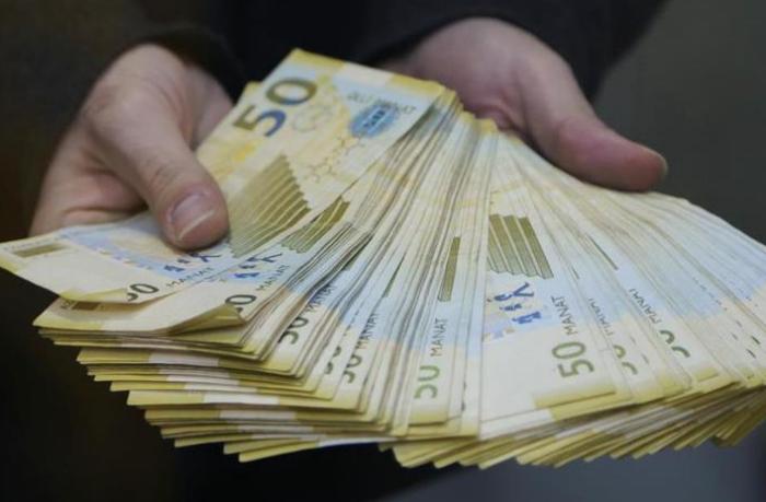 Kiçik sahibkarlığa verilən kreditlər artdı