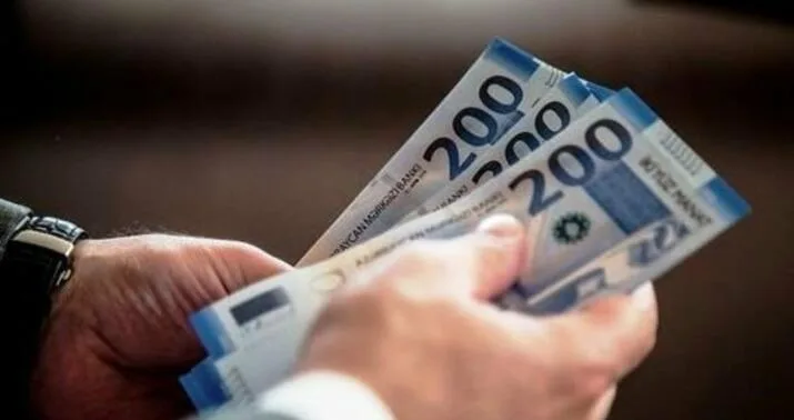 Dövlətə yarım milyon borcu olan şirkət səhmdarlarını toplayır