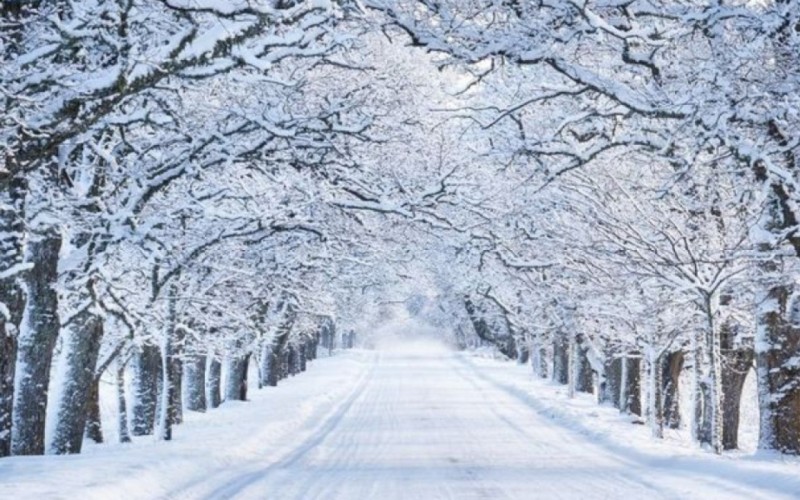 Şamaxıda yolda köməksiz qalan 5 nəfər xilas edildi