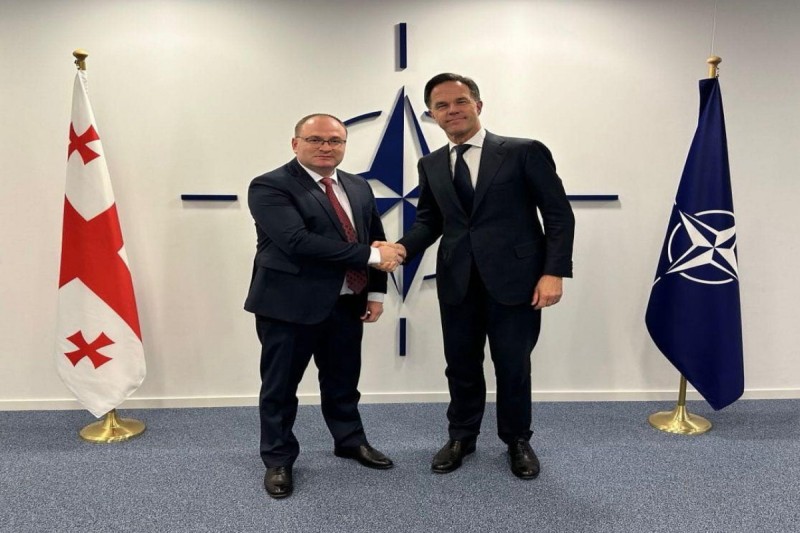 Gürcüstan-NATO əməkdaşlığı müzakirə olundu